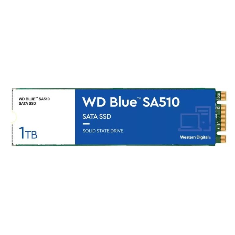WD Blue SA510 1 TB M.2 560 MB/s 6 Gbit/s